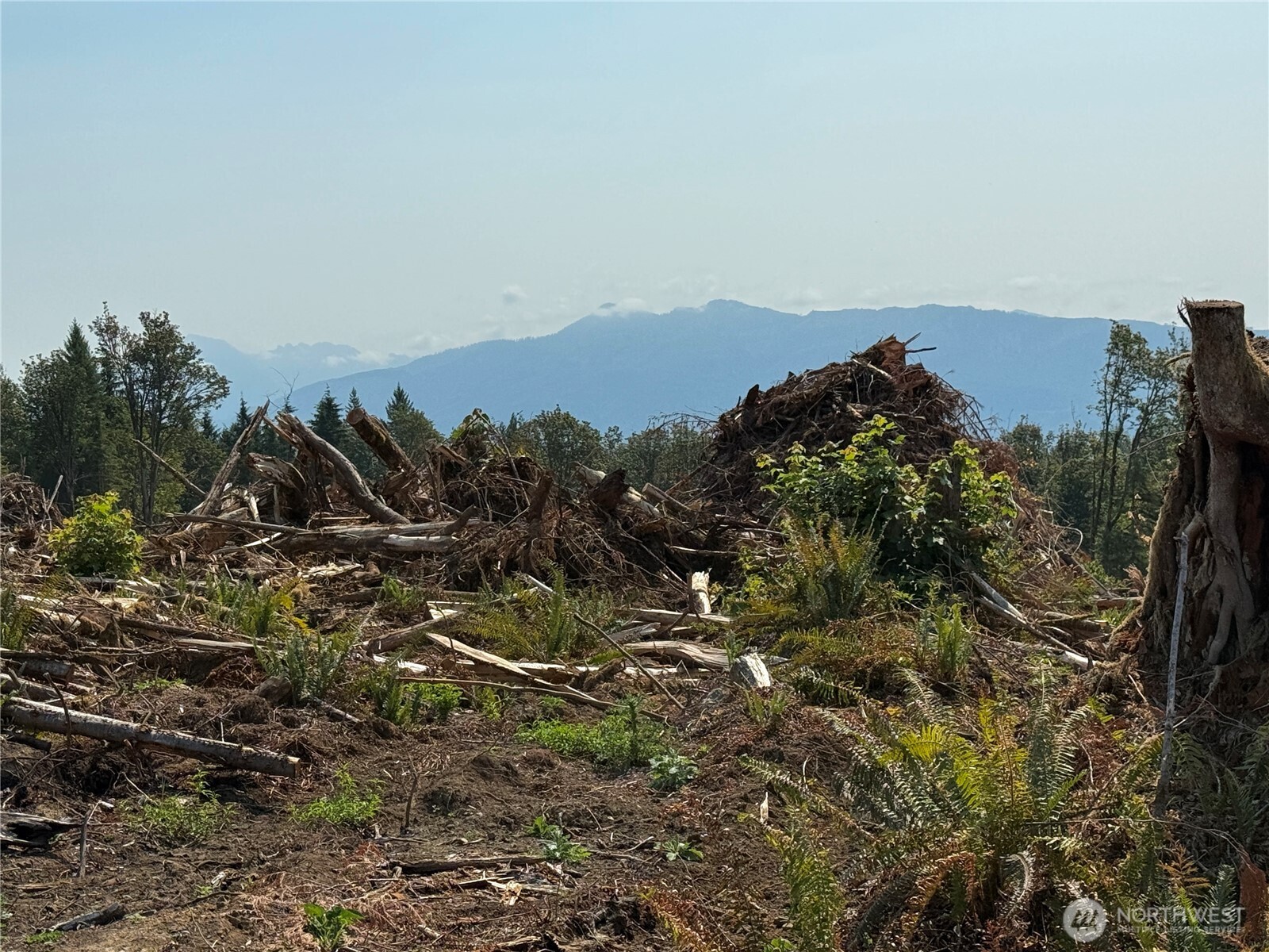 27417 Old Pipeline Road Monroe, WA 98272 - Photo 21 of 38 Gallery Image 21