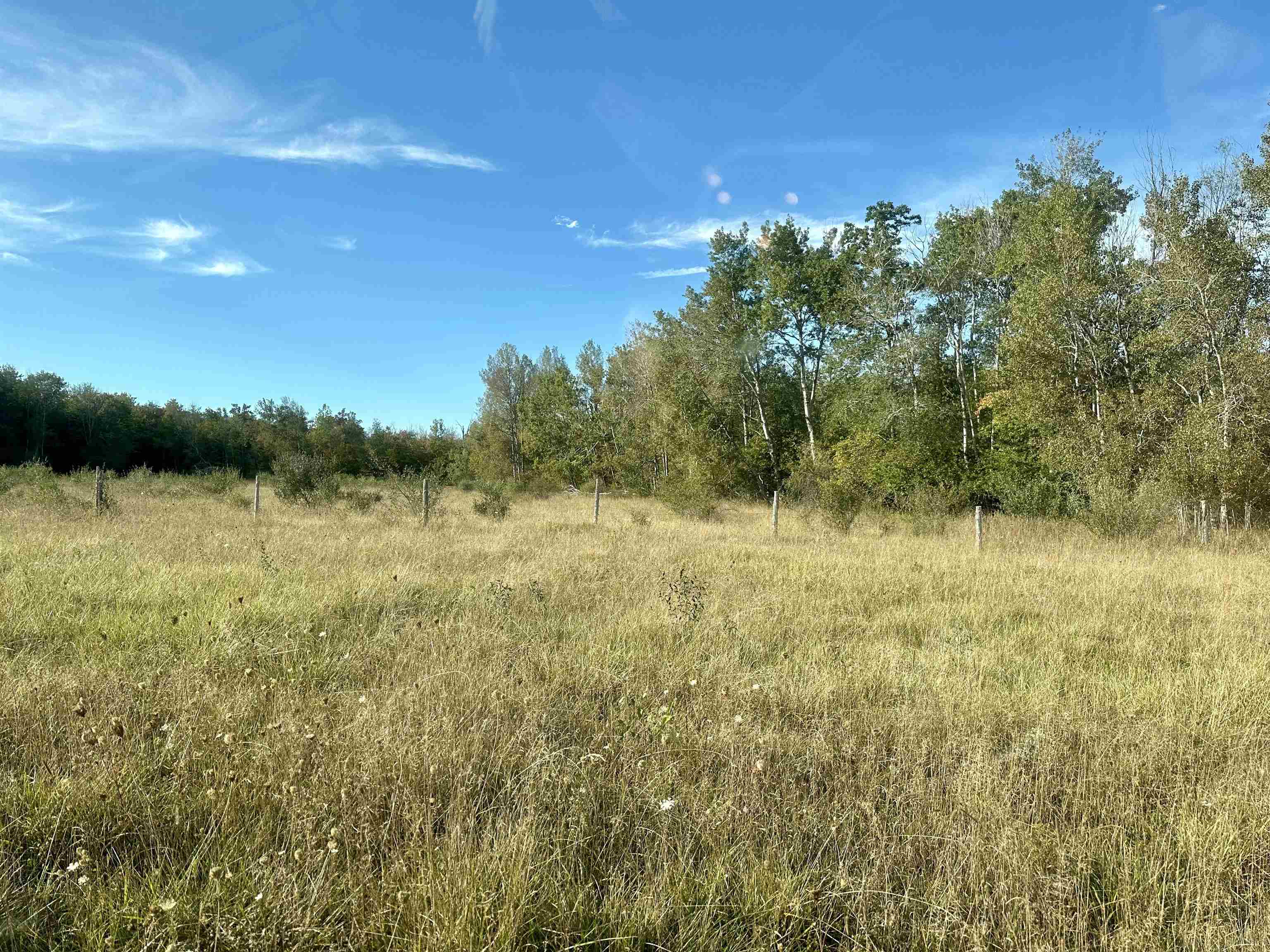 0 St Pierre Road Arcadia, MI 49613 - Photo 8 of 28