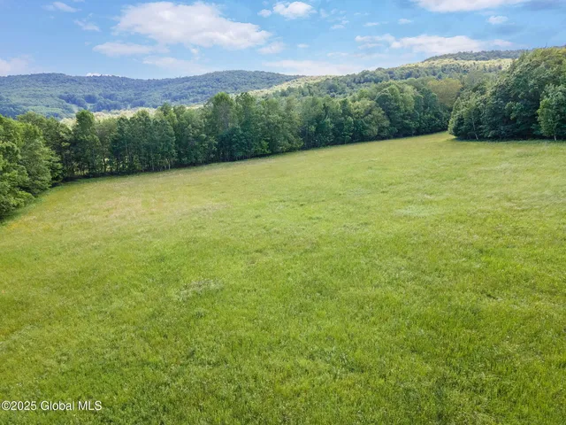 $399,900 | 755 Highway 10, Jefferson, NY 12167