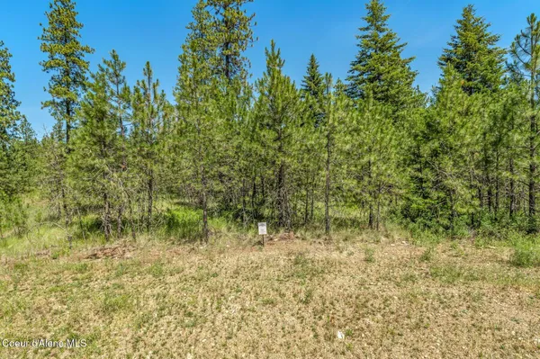 $345,000 | Lot 20 Asulkan Street, Athol, ID 83801