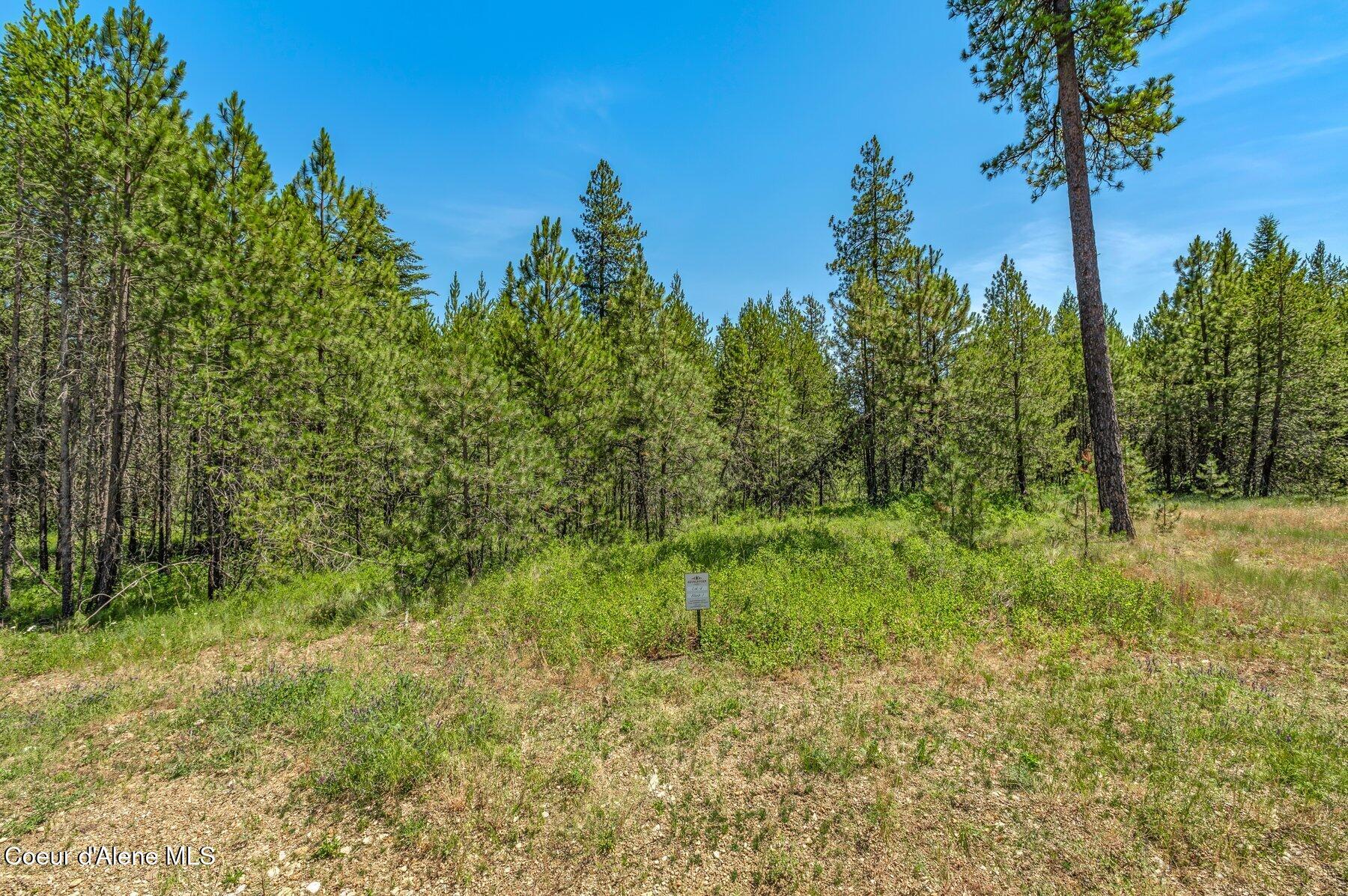 Lot 20 Asulkan Street Athol, ID 83801 - Photo 6 of 9 --6.jpg-SMALL