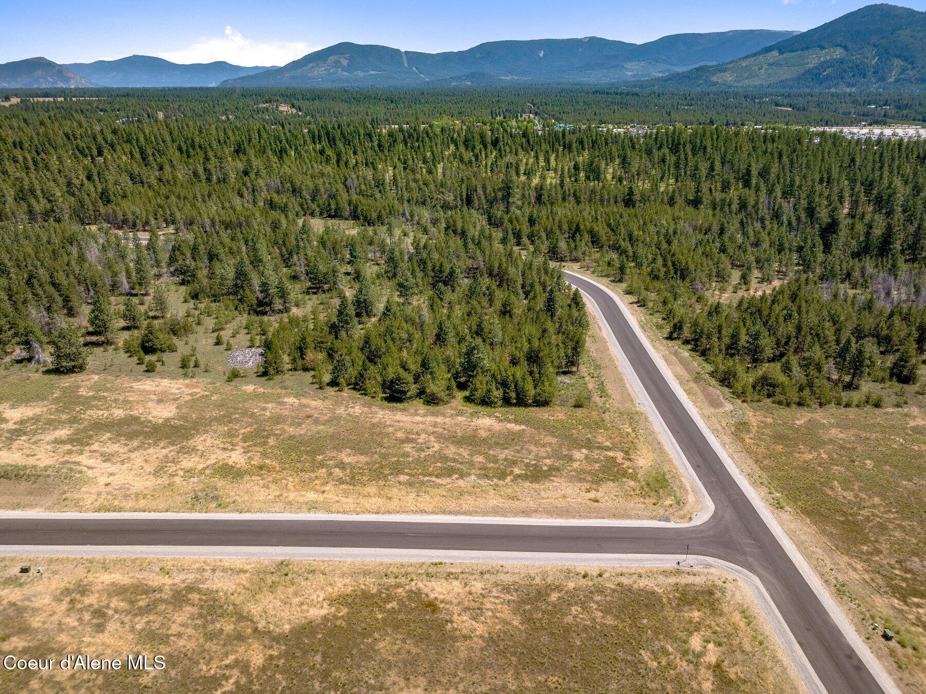 Lot 20 Asulkan Street Athol, ID 83801 - Photo 8 of 9 --44.jpg-SMALL