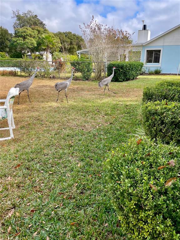 3401 Divot Road Sebring, FL 33872 - Photo 18 of 34 a view of a lake view