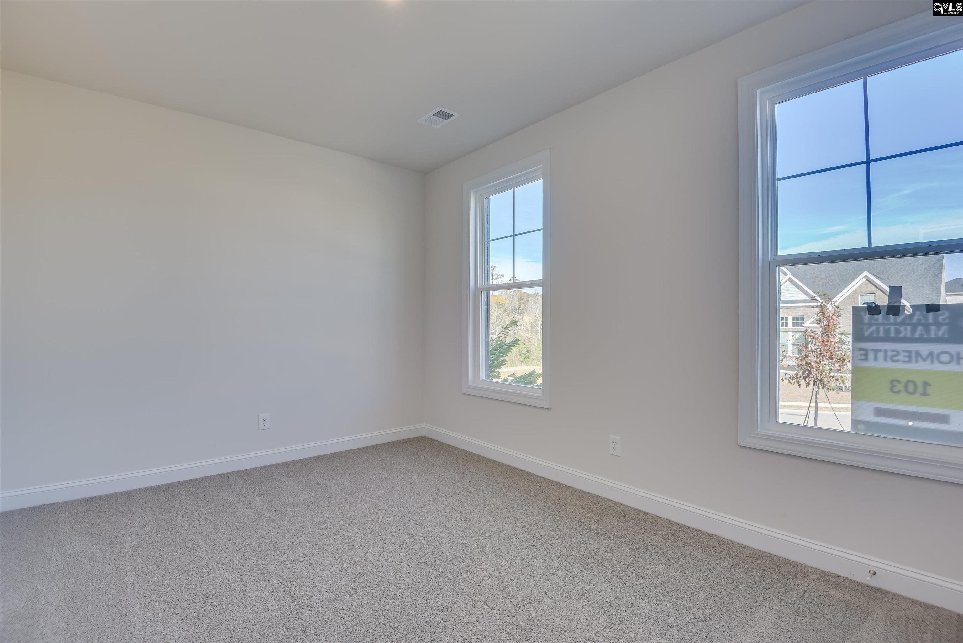 617 Basalt Court Chapin, SC 29036 - Photo 26 of 46
