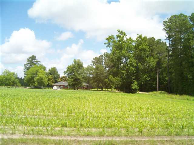 5803 Thomas Road Conway, SC 29526 - Photo 1 of 13 Gallery Image 1