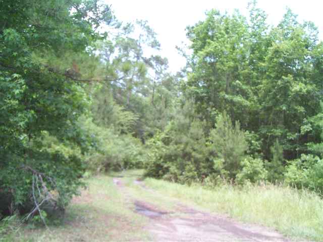 5803 Thomas Road Conway, SC 29526 - Photo 4 of 13 Gallery Image 4