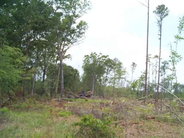 5803 Thomas Road Conway, SC 29526 - Photo 6 of 13 Gallery Image 6