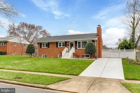 a view of a backyard with a garden and plants