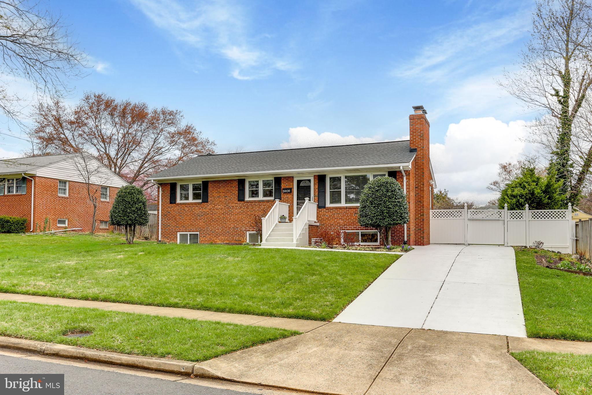 a view of a backyard with a garden and plants
