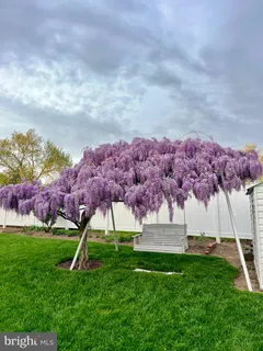 a front view of house with yard and garage