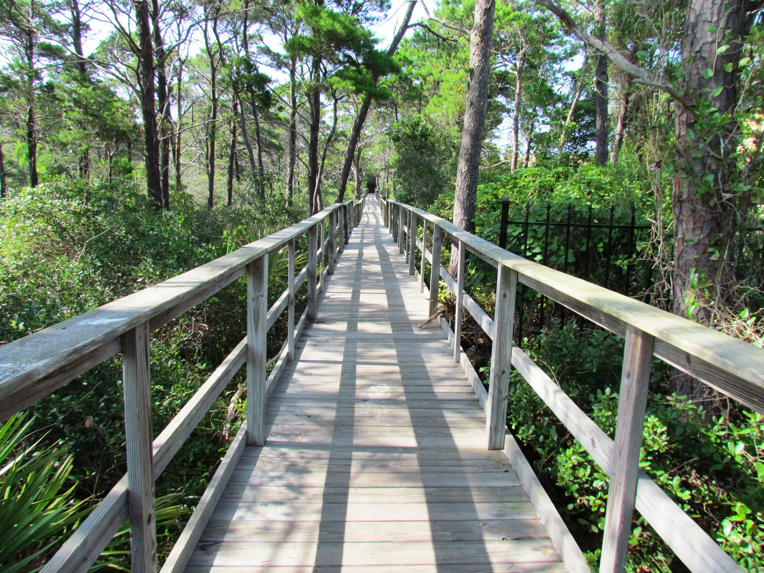Lot 39 Morgans Trail Santa Rosa Beach, FL 32459 - Photo 5 of 18 Gallery Image 5