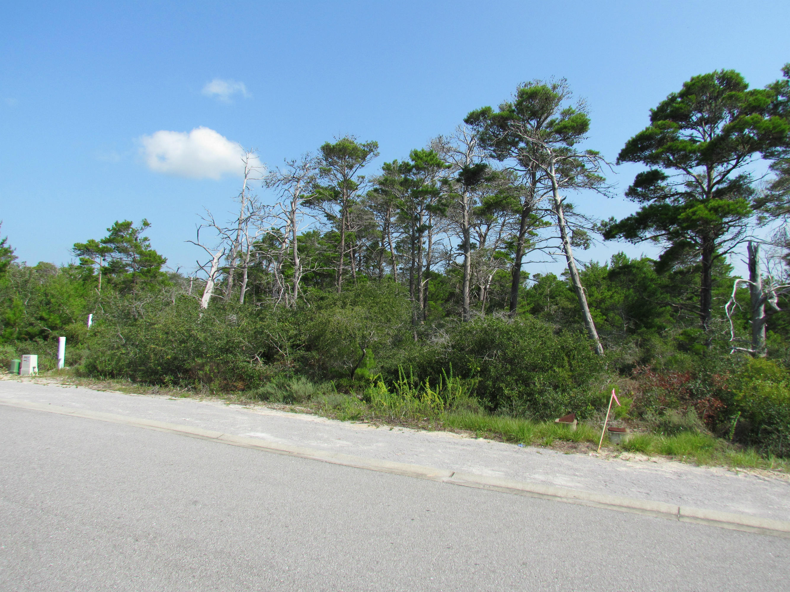 Lot 39 Morgans Trail Santa Rosa Beach, FL 32459 - Photo 9 of 18 Gallery Image 9