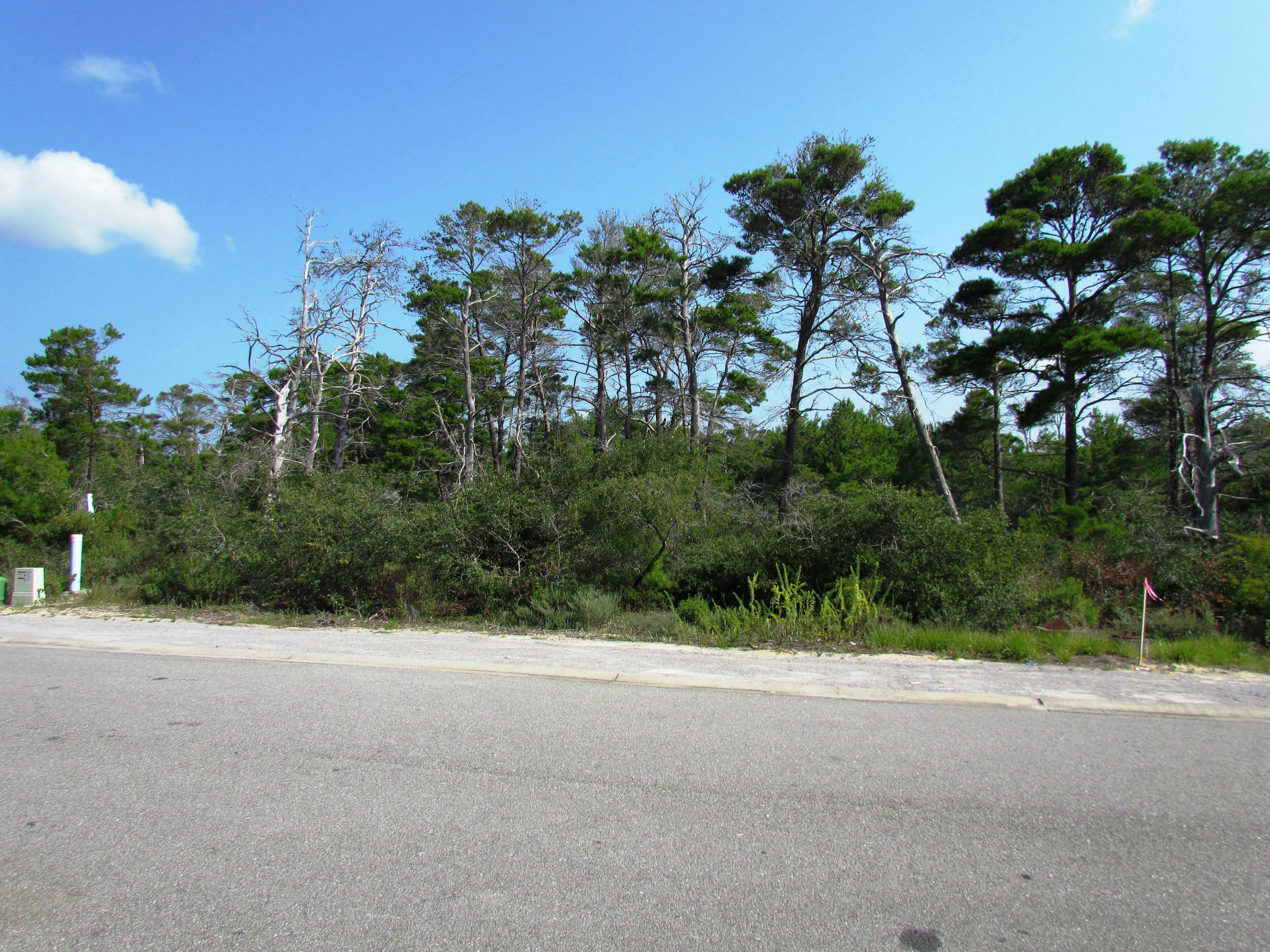 Lot 39 Morgans Trail Santa Rosa Beach, FL 32459 - Photo 10 of 18 Gallery Image 10