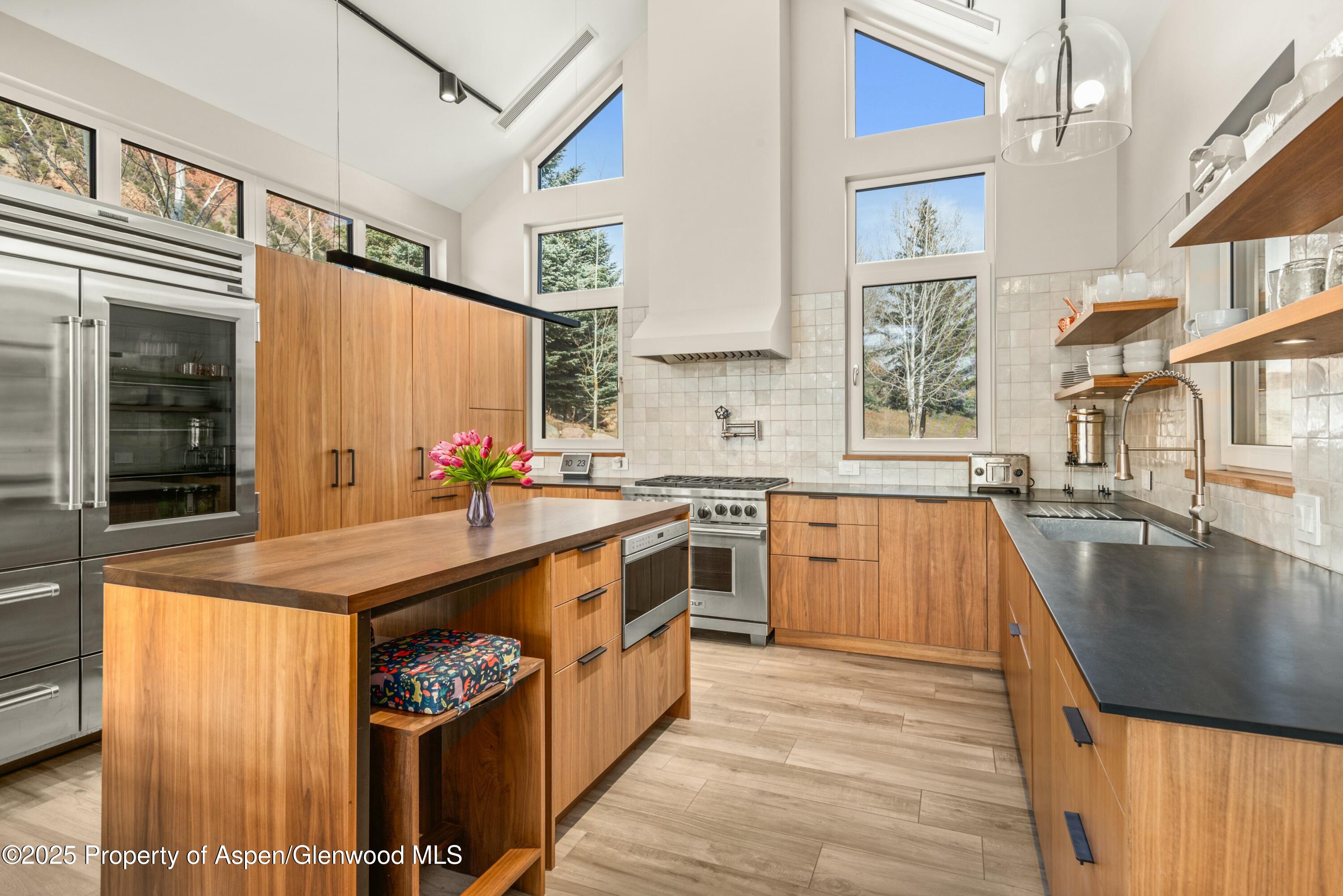 649 Saddleback Road Carbondale, CO 81623 - Photo 14 of 37 a kitchen with stainless steel appliances granite countertop a sink a stove and a refrigerator