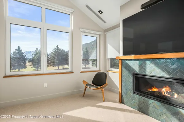 a living room with furniture a fireplace and a floor to ceiling window