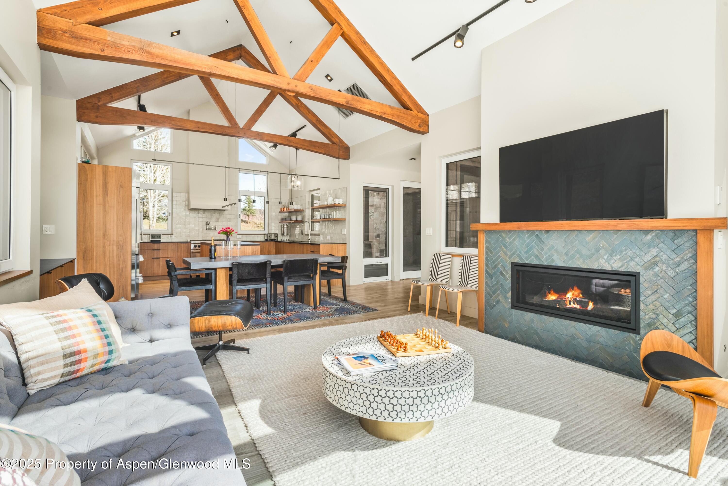 649 Saddleback Road Carbondale, CO 81623 - Photo 10 of 37 a living room with furniture a fireplace and a flat screen tv