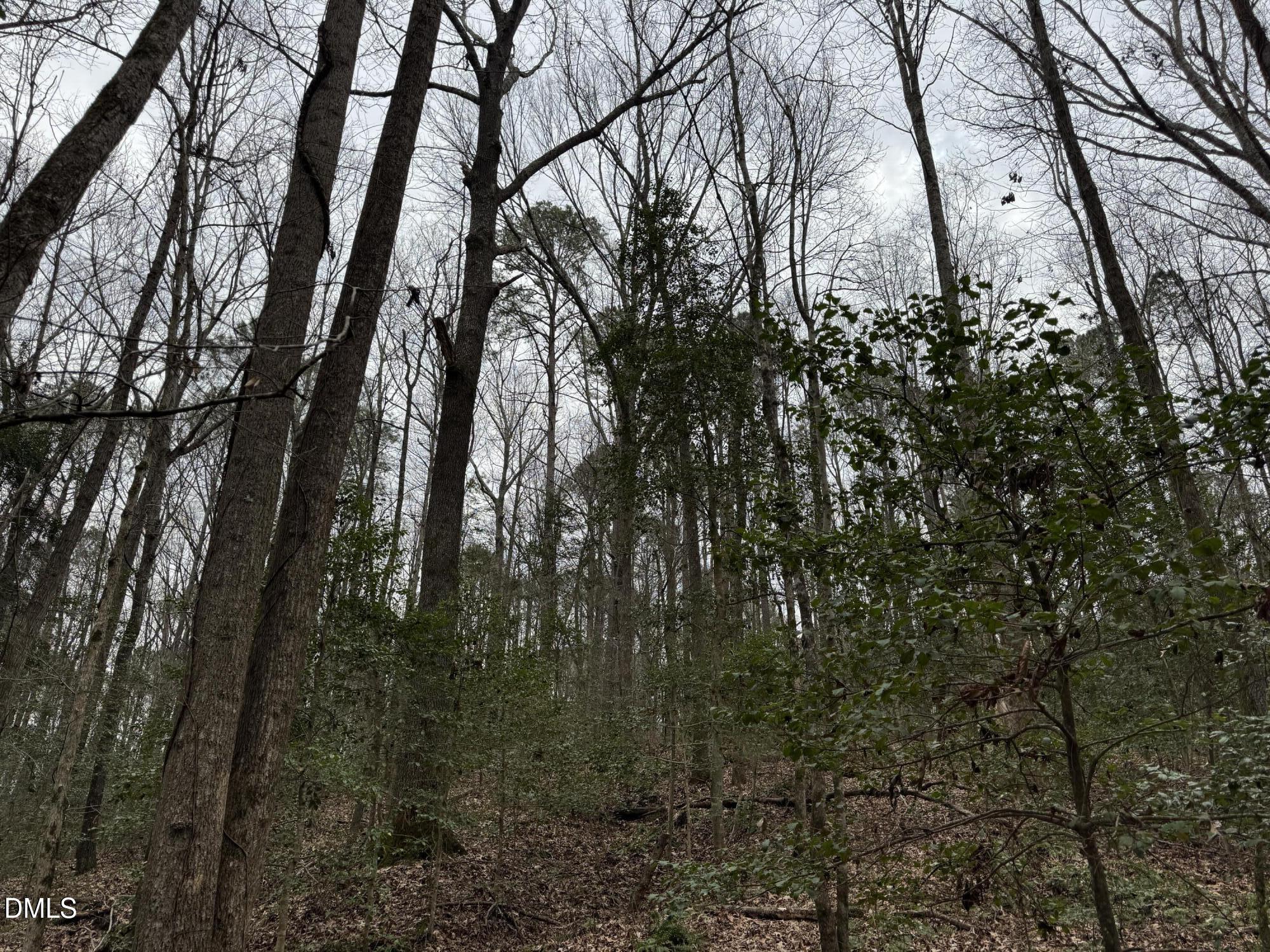 0 Eatmon Road Zebulon, NC 27597 - Photo 11 of 63 11