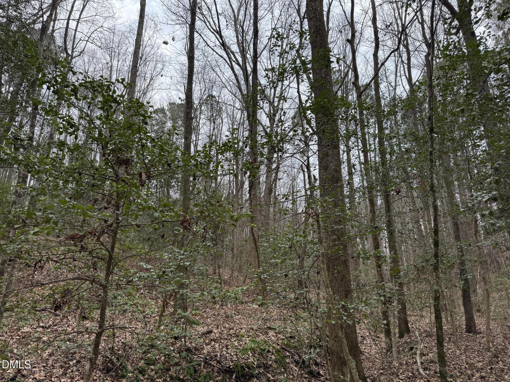 0 Eatmon Road Zebulon, NC 27597 - Photo 12 of 63 a view of forest