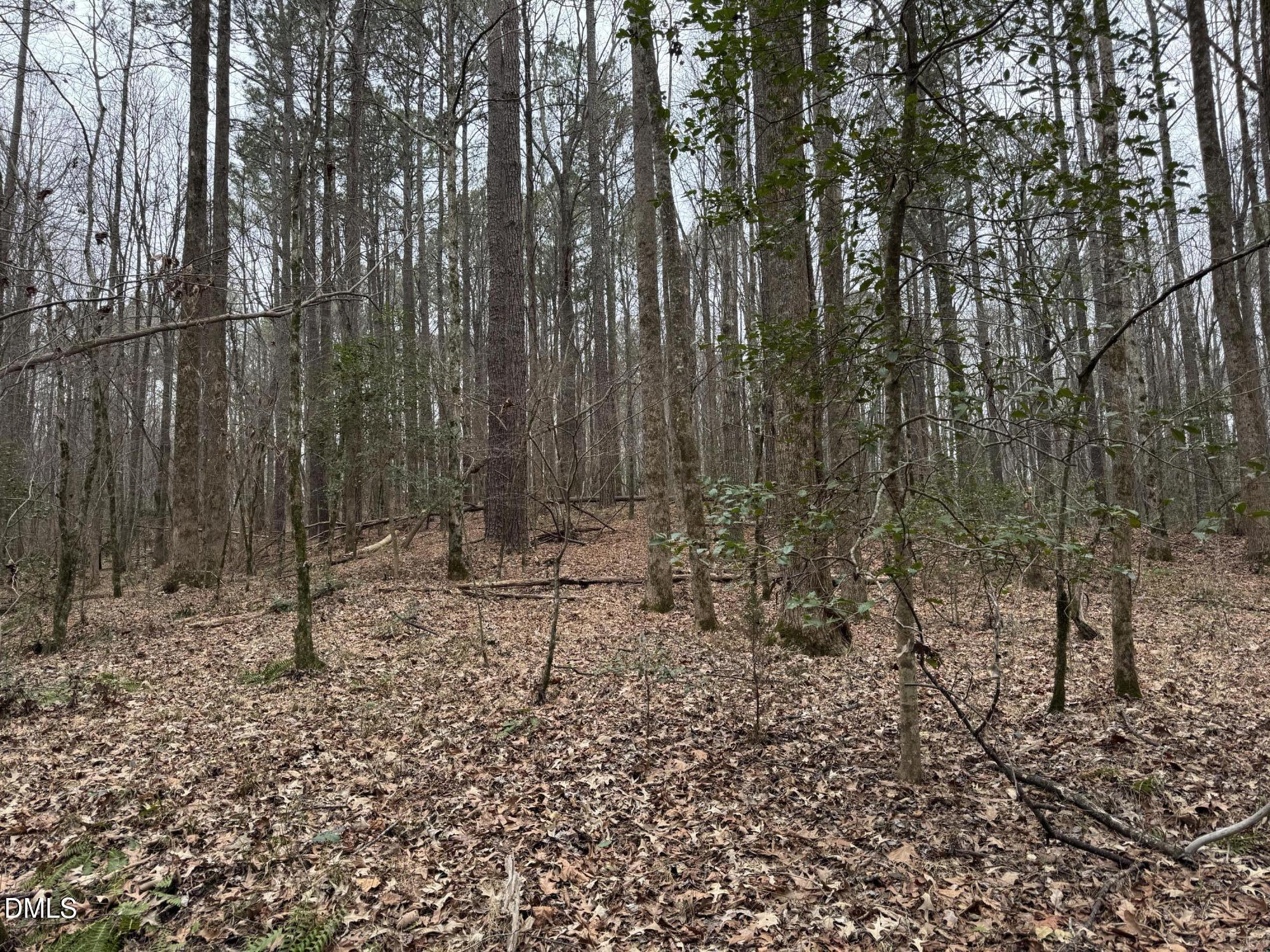 0 Eatmon Road Zebulon, NC 27597 - Photo 15 of 63 a backyard of a house with lots of green space