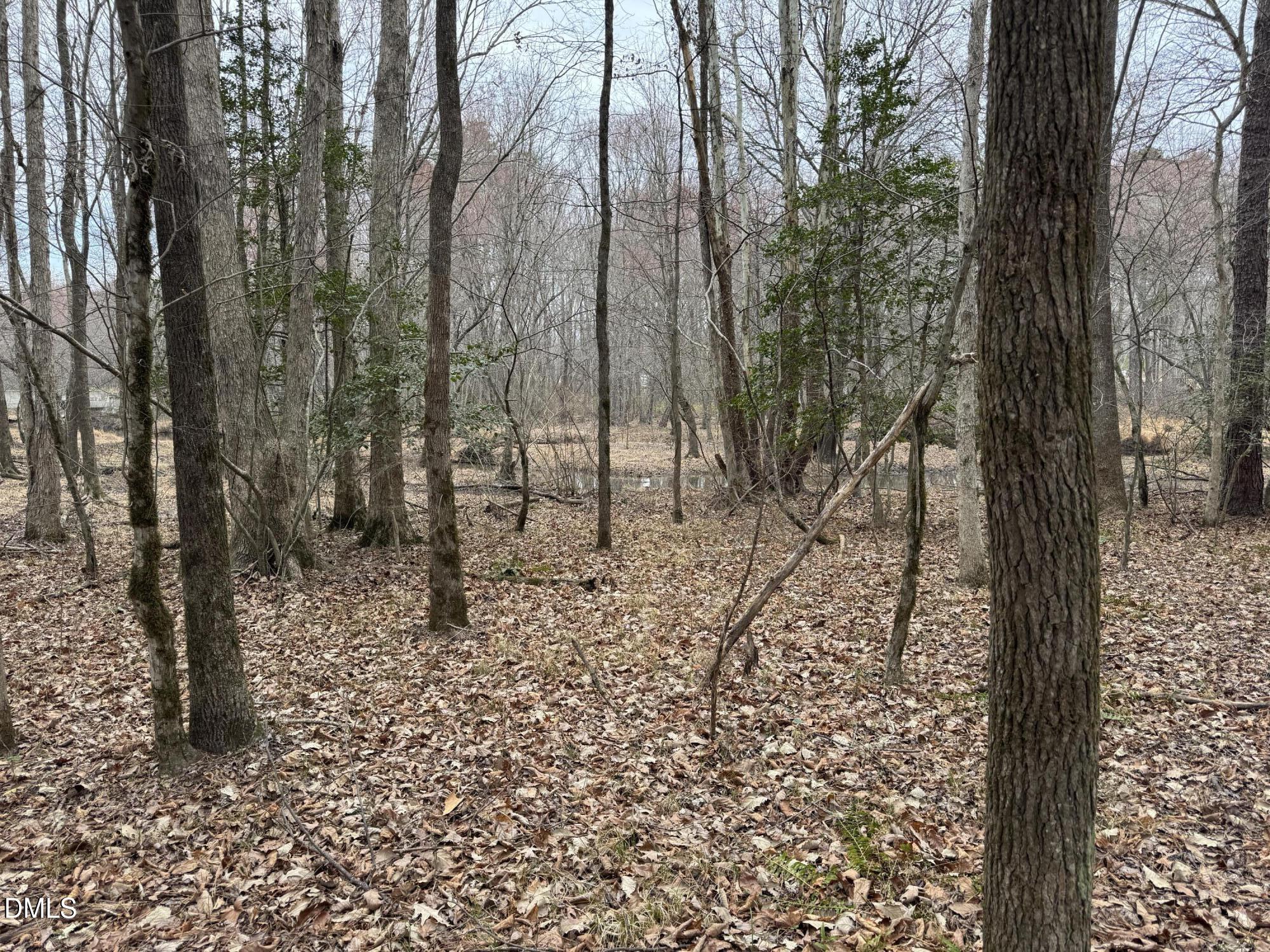 0 Eatmon Road Zebulon, NC 27597 - Photo 16 of 63 a view of a forest filled with trees