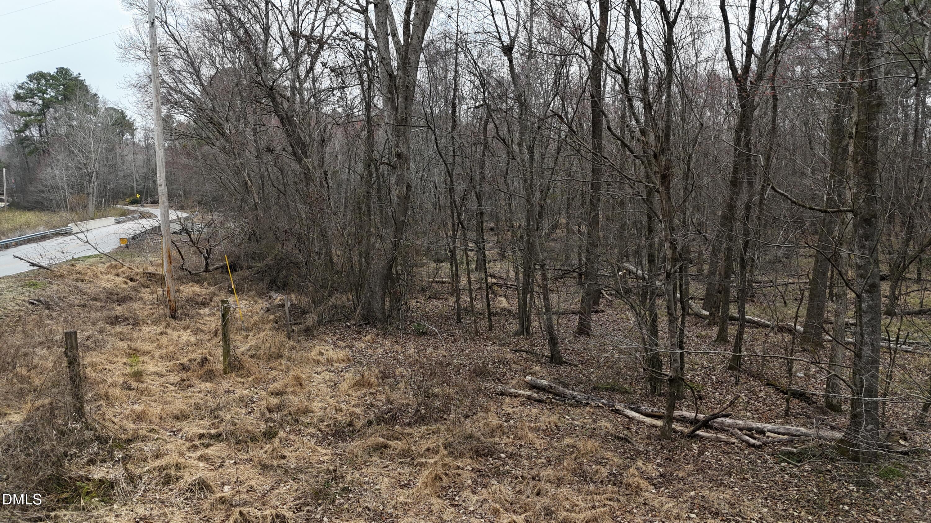 0 Eatmon Road Zebulon, NC 27597 - Photo 2 of 63 a view of a forest with large trees