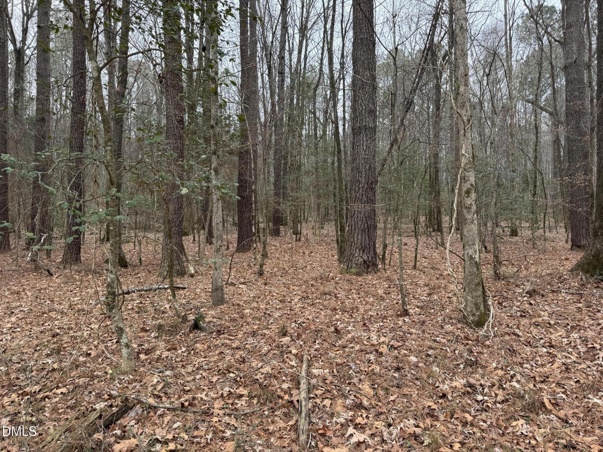 0 Eatmon Road Zebulon, NC 27597 - Photo 25 of 63 a view of a forest with trees in the background
