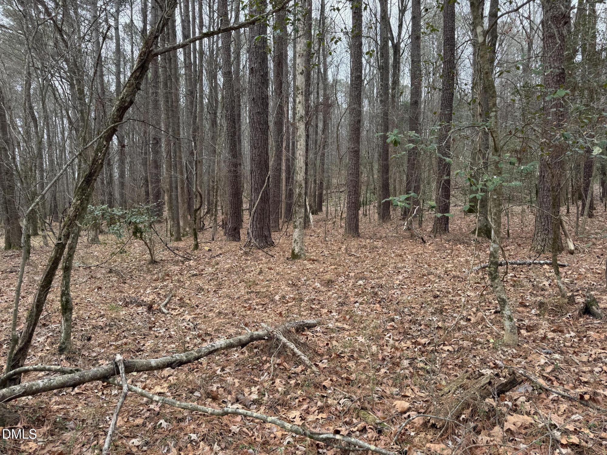 0 Eatmon Road Zebulon, NC 27597 - Photo 26 of 63 26