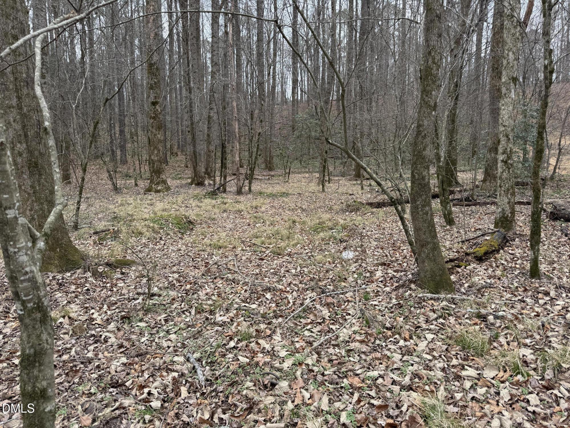 0 Eatmon Road Zebulon, NC 27597 - Photo 29 of 63 29