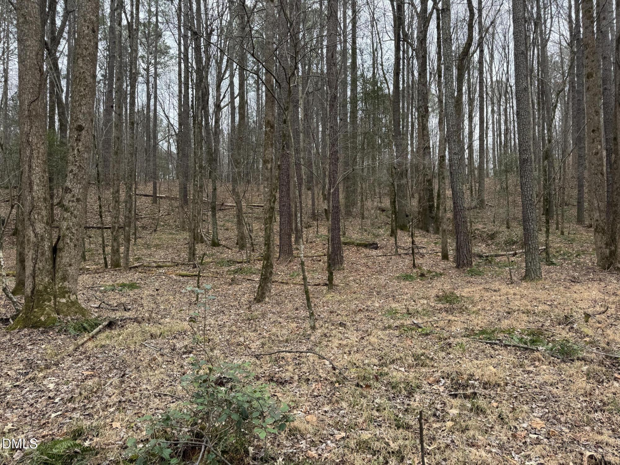 0 Eatmon Road Zebulon, NC 27597 - Photo 32 of 63 a view of outdoor space with wooden fence
