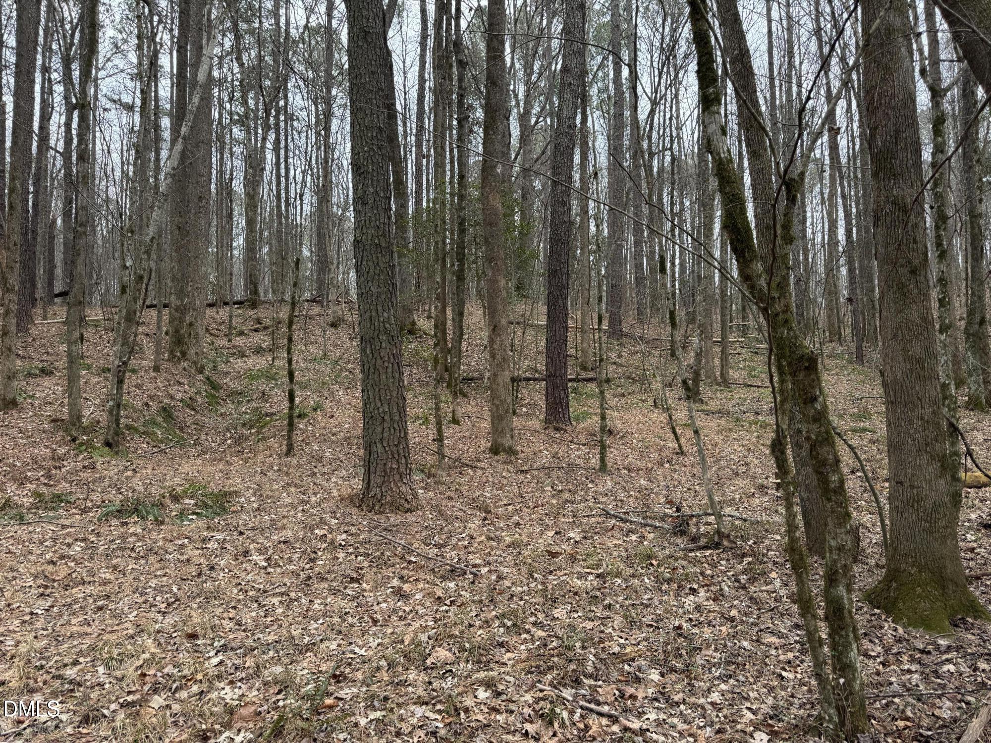 0 Eatmon Road Zebulon, NC 27597 - Photo 35 of 63 a view of a yard with trees