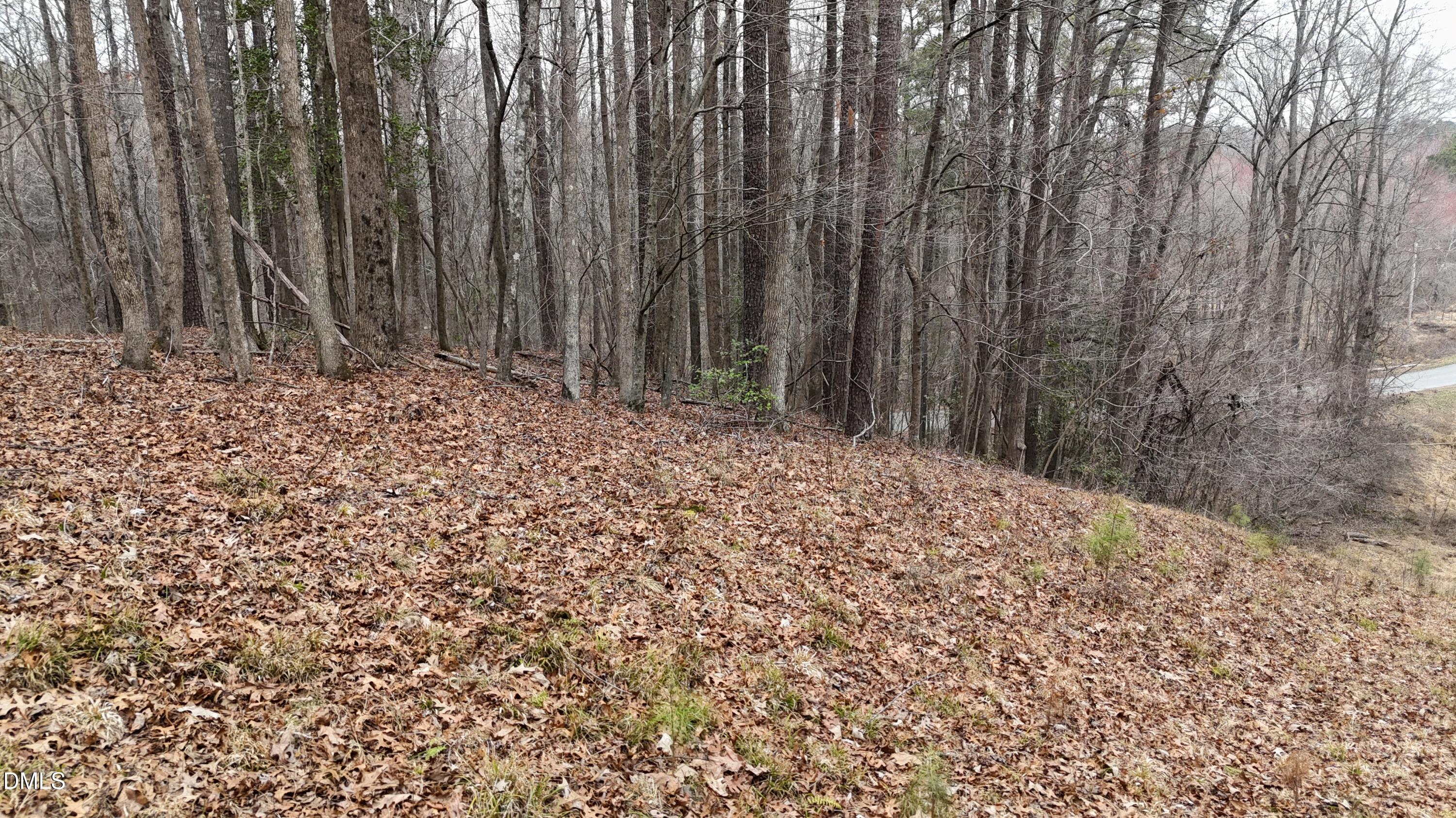 0 Eatmon Road Zebulon, NC 27597 - Photo 41 of 63 41