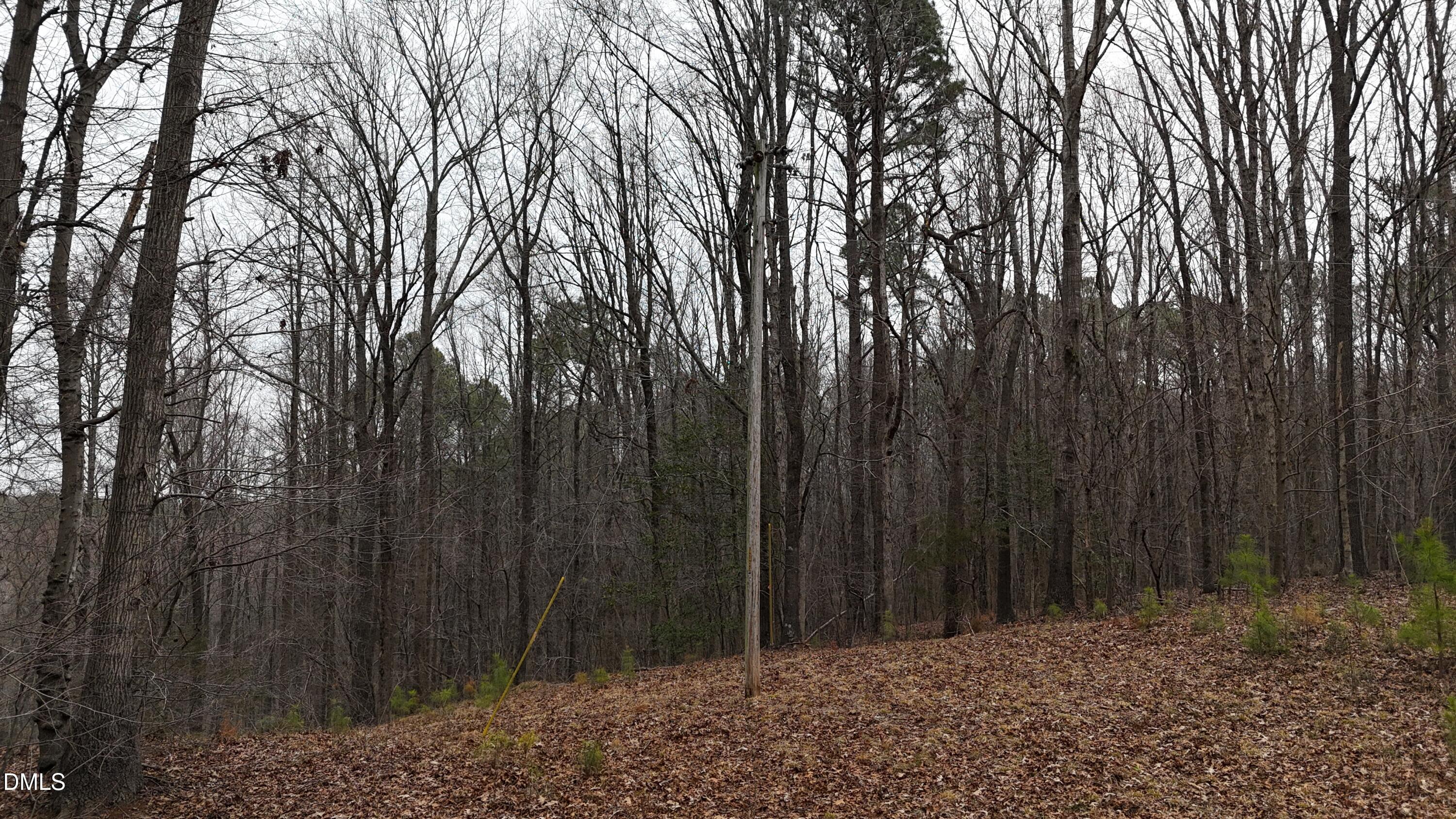 0 Eatmon Road Zebulon, NC 27597 - Photo 42 of 63 a view of a backyard