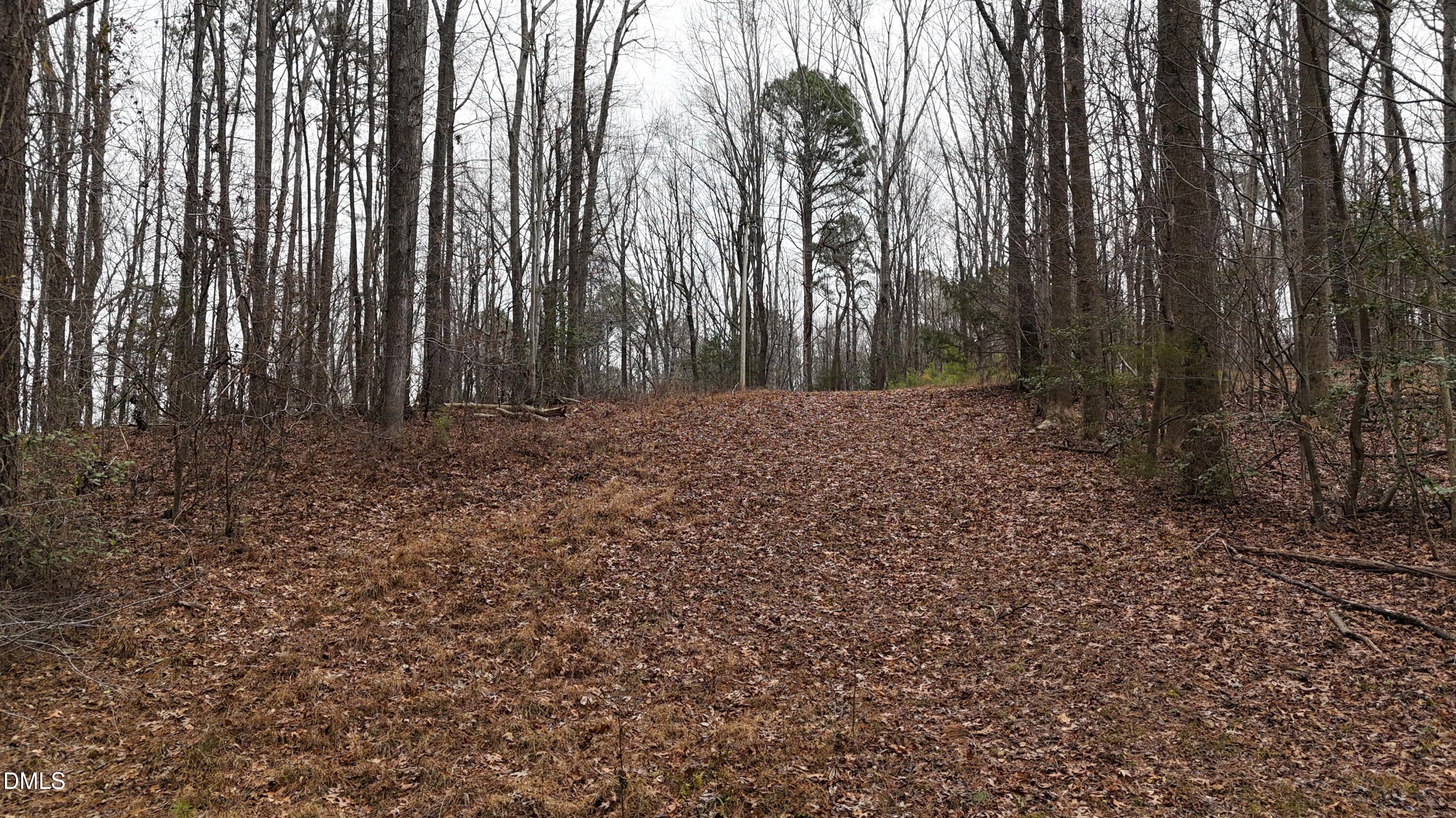 0 Eatmon Road Zebulon, NC 27597 - Photo 43 of 63 a view of a yard with large trees