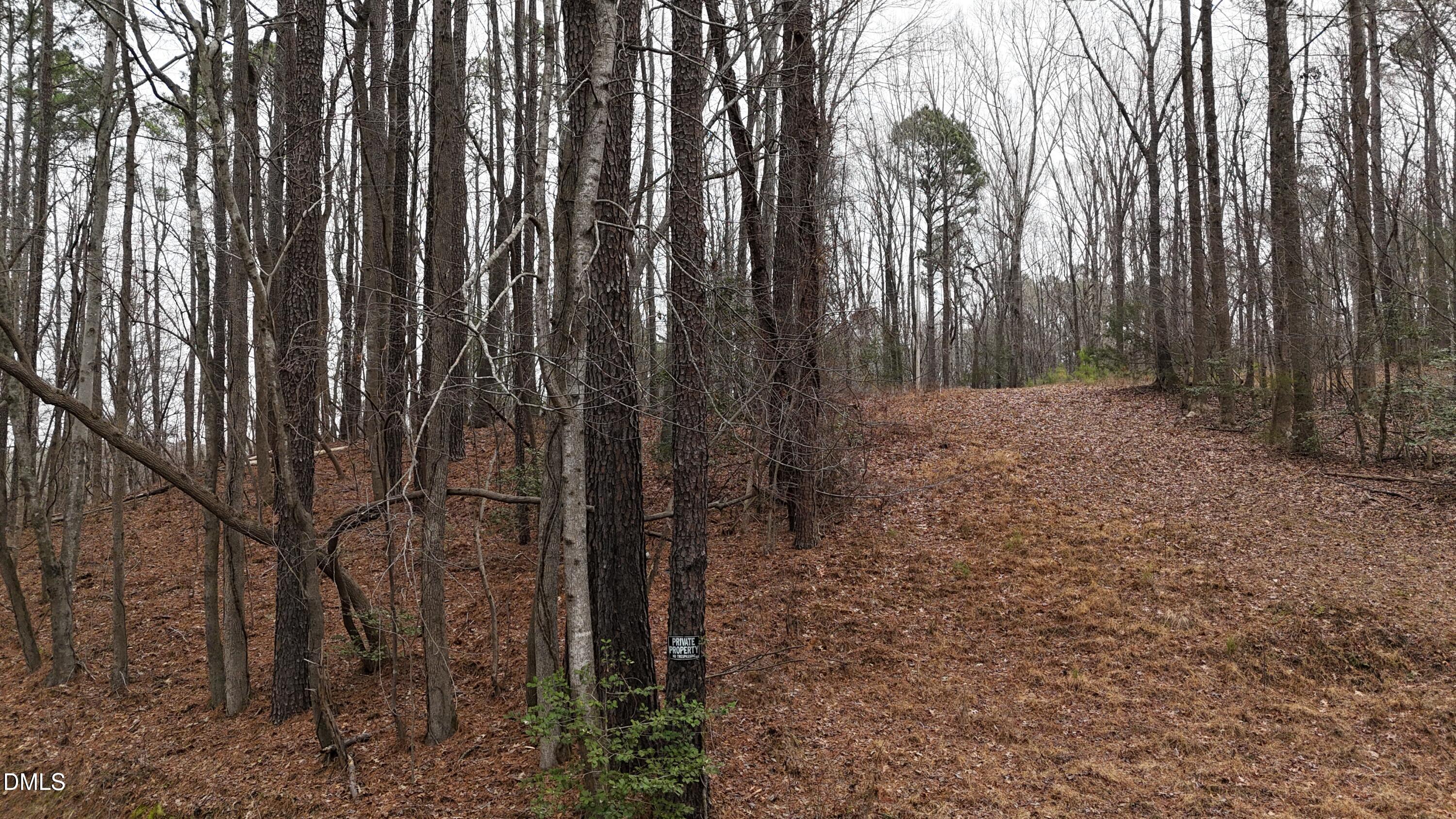 0 Eatmon Road Zebulon, NC 27597 - Photo 46 of 63 46