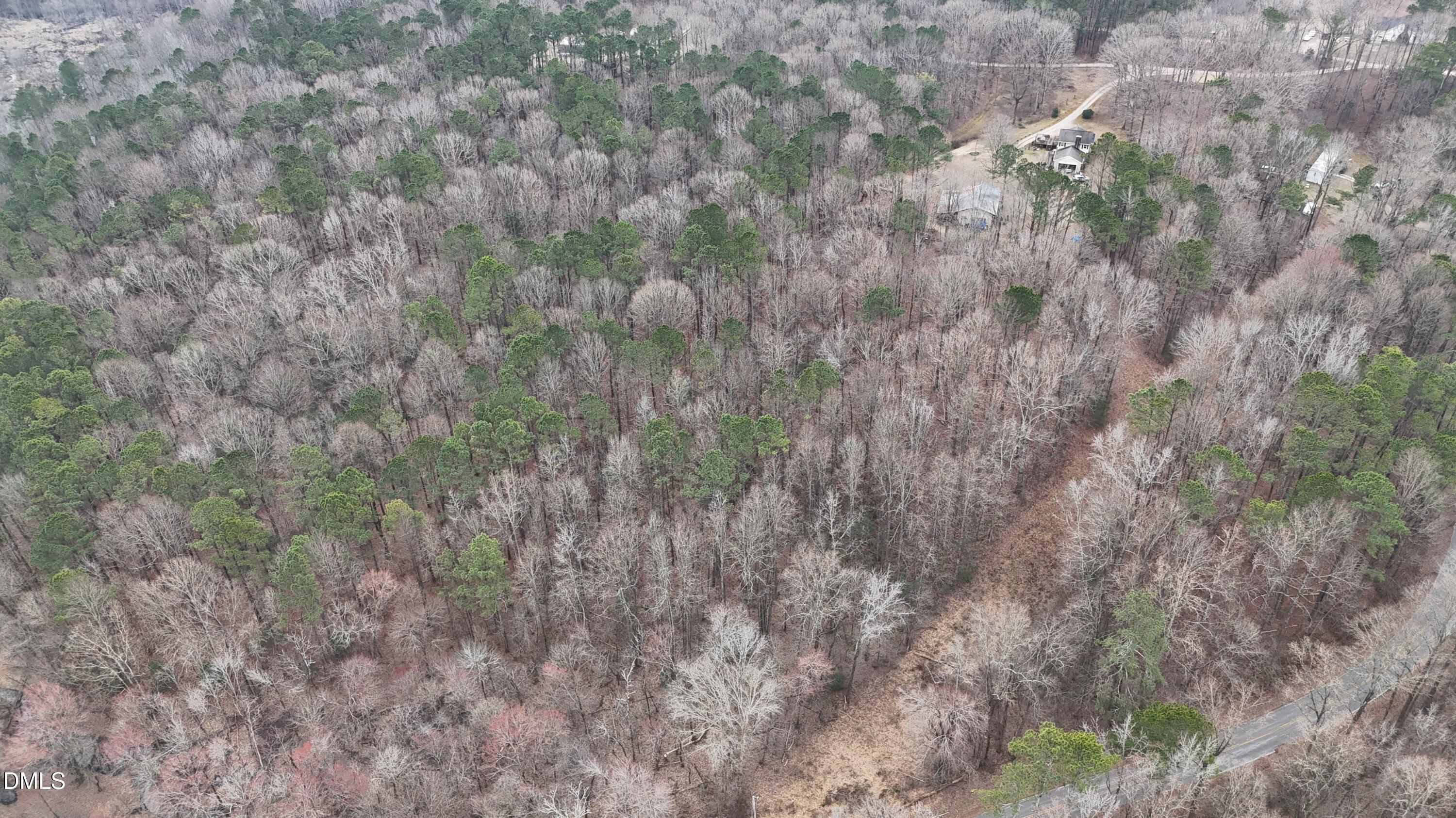 0 Eatmon Road Zebulon, NC 27597 - Photo 47 of 63 a view of a dry yard with green space and fog