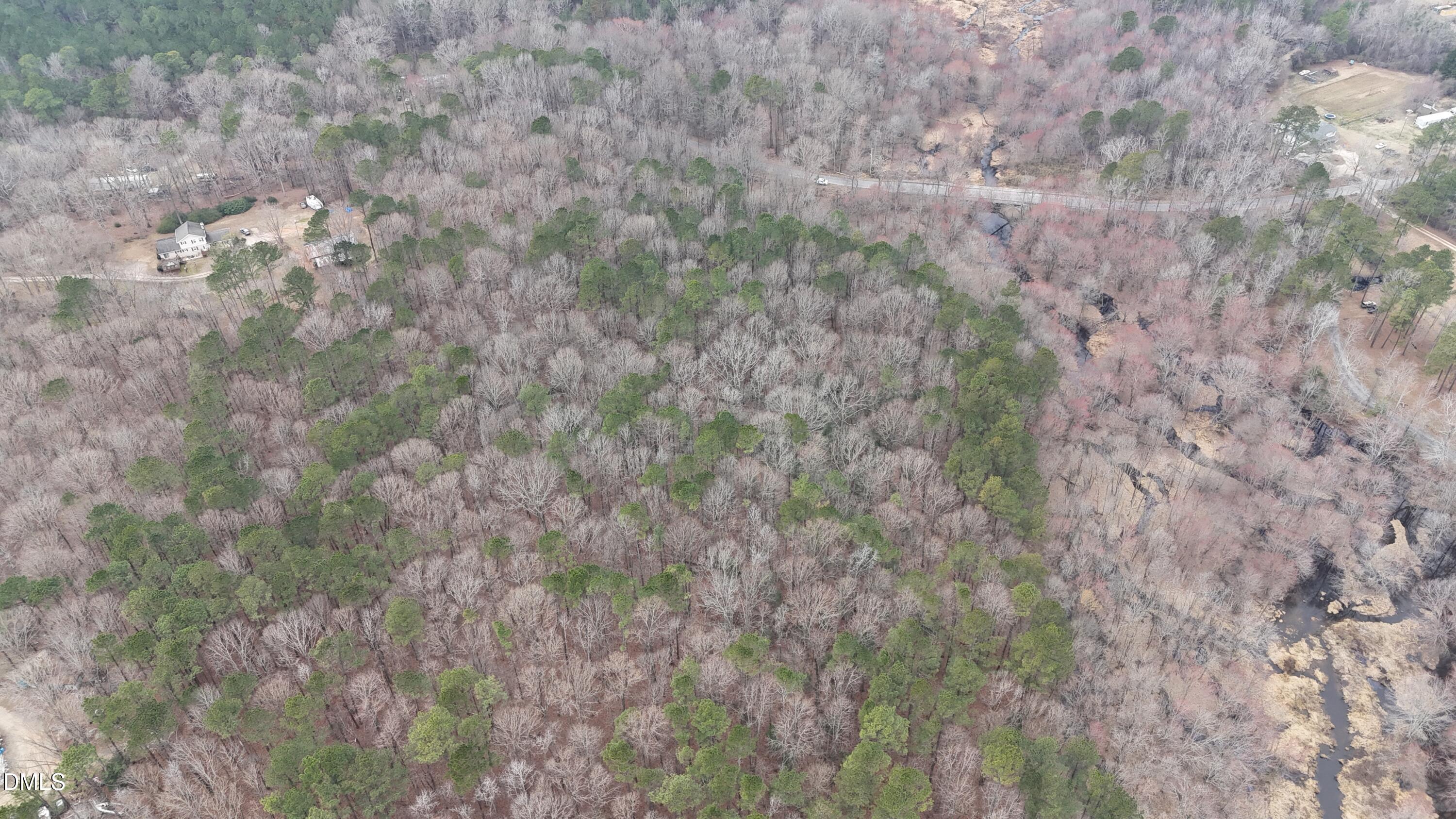 0 Eatmon Road Zebulon, NC 27597 - Photo 49 of 63 a close up of a forest