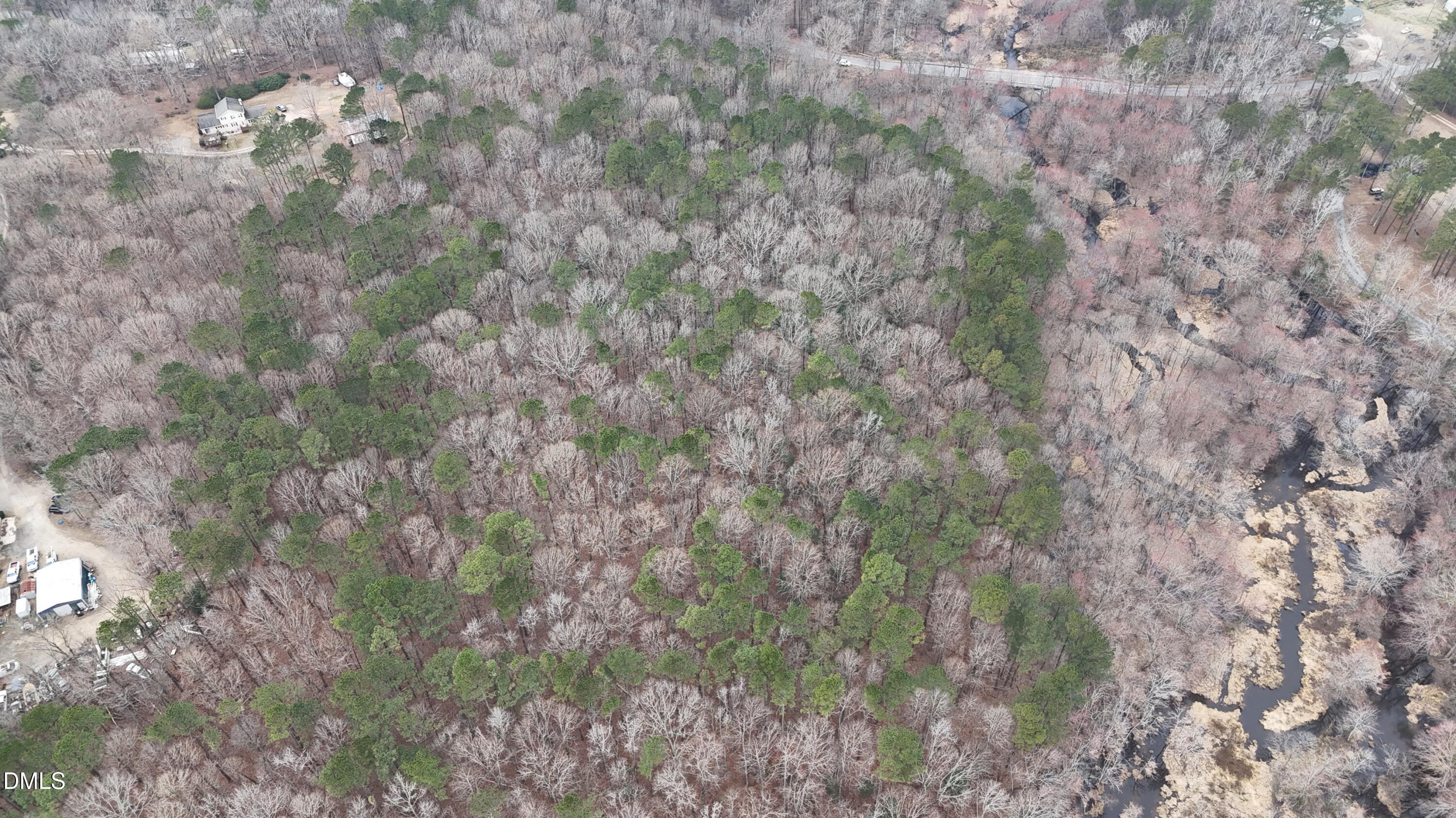 0 Eatmon Road Zebulon, NC 27597 - Photo 50 of 63 a view of a forest with lots of trees