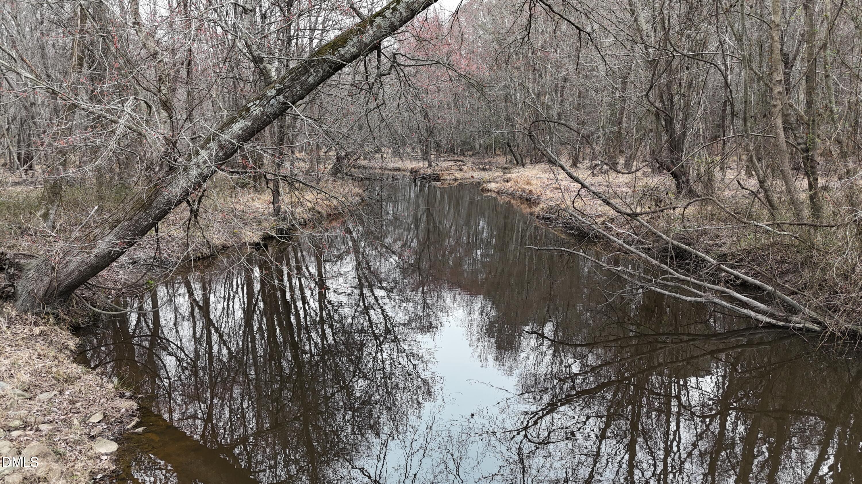 0 Eatmon Road Zebulon, NC 27597 - Photo 52 of 63 a view of forest
