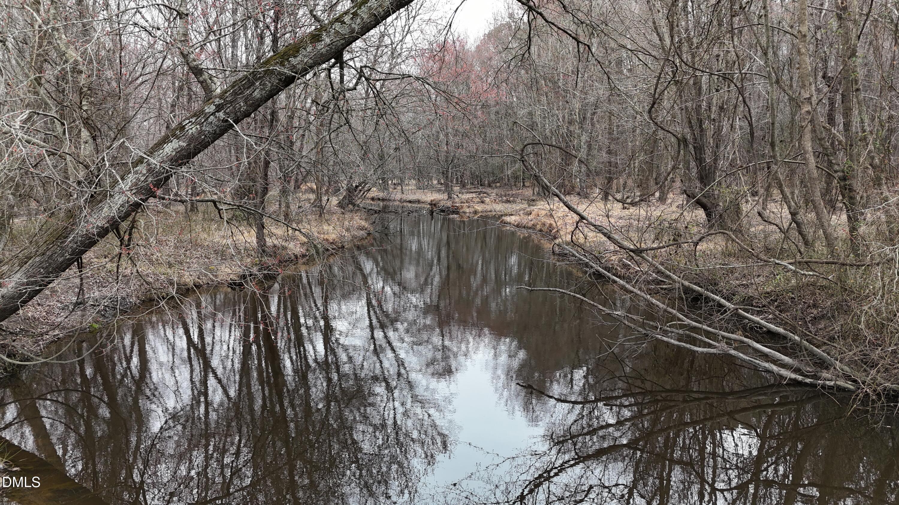 0 Eatmon Road Zebulon, NC 27597 - Photo 53 of 63 a view of forest
