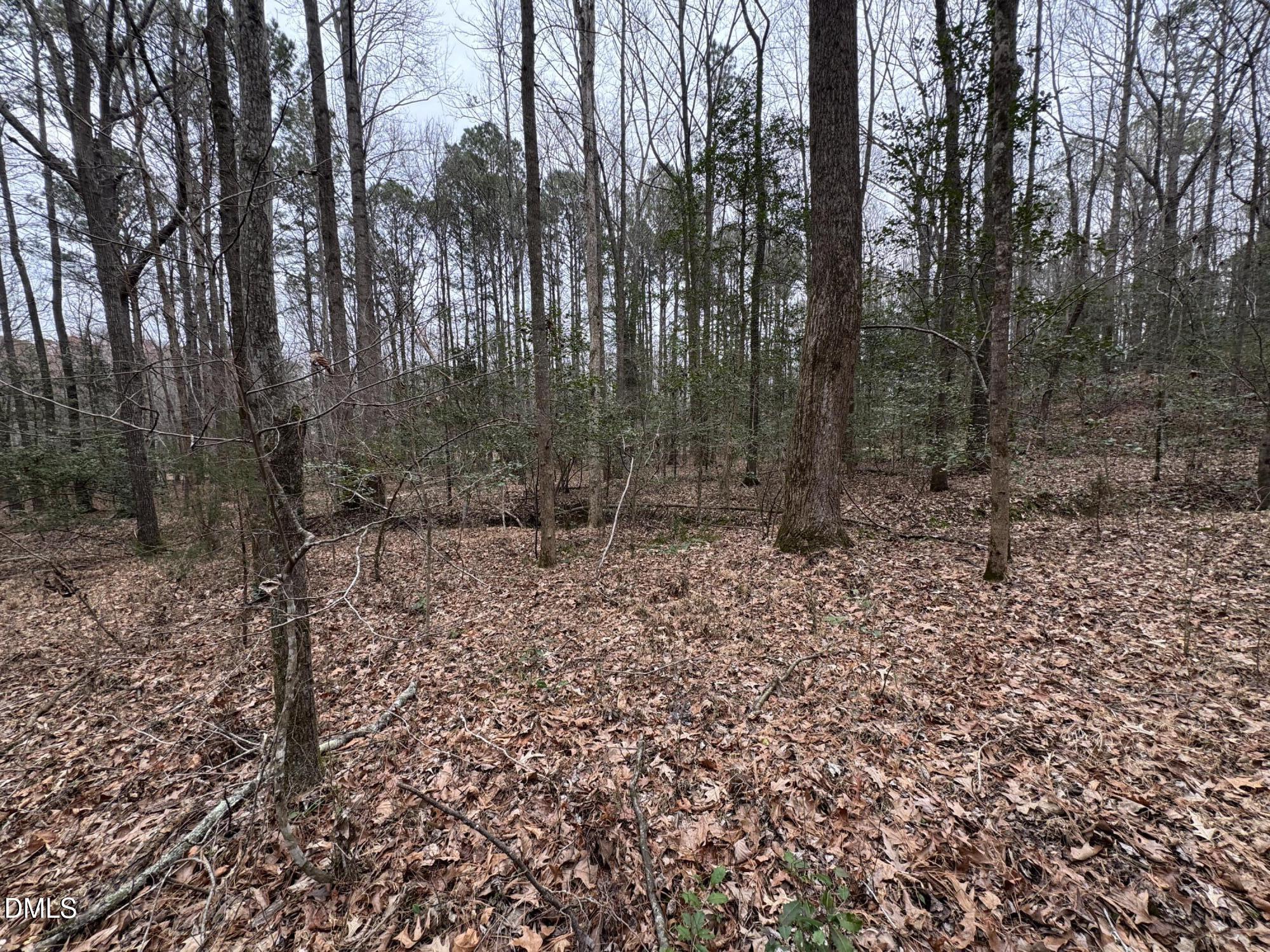 0 Eatmon Road Zebulon, NC 27597 - Photo 54 of 63 a view of a forest with trees in the background