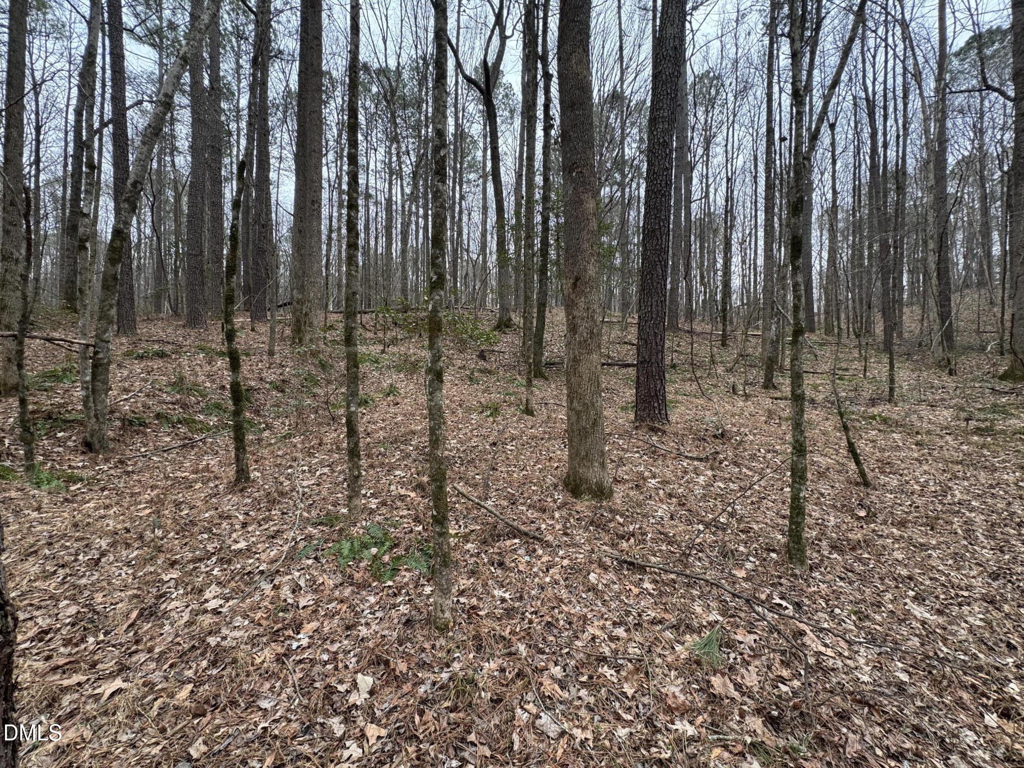 0 Eatmon Road Zebulon, NC 27597 - Photo 56 of 63 56