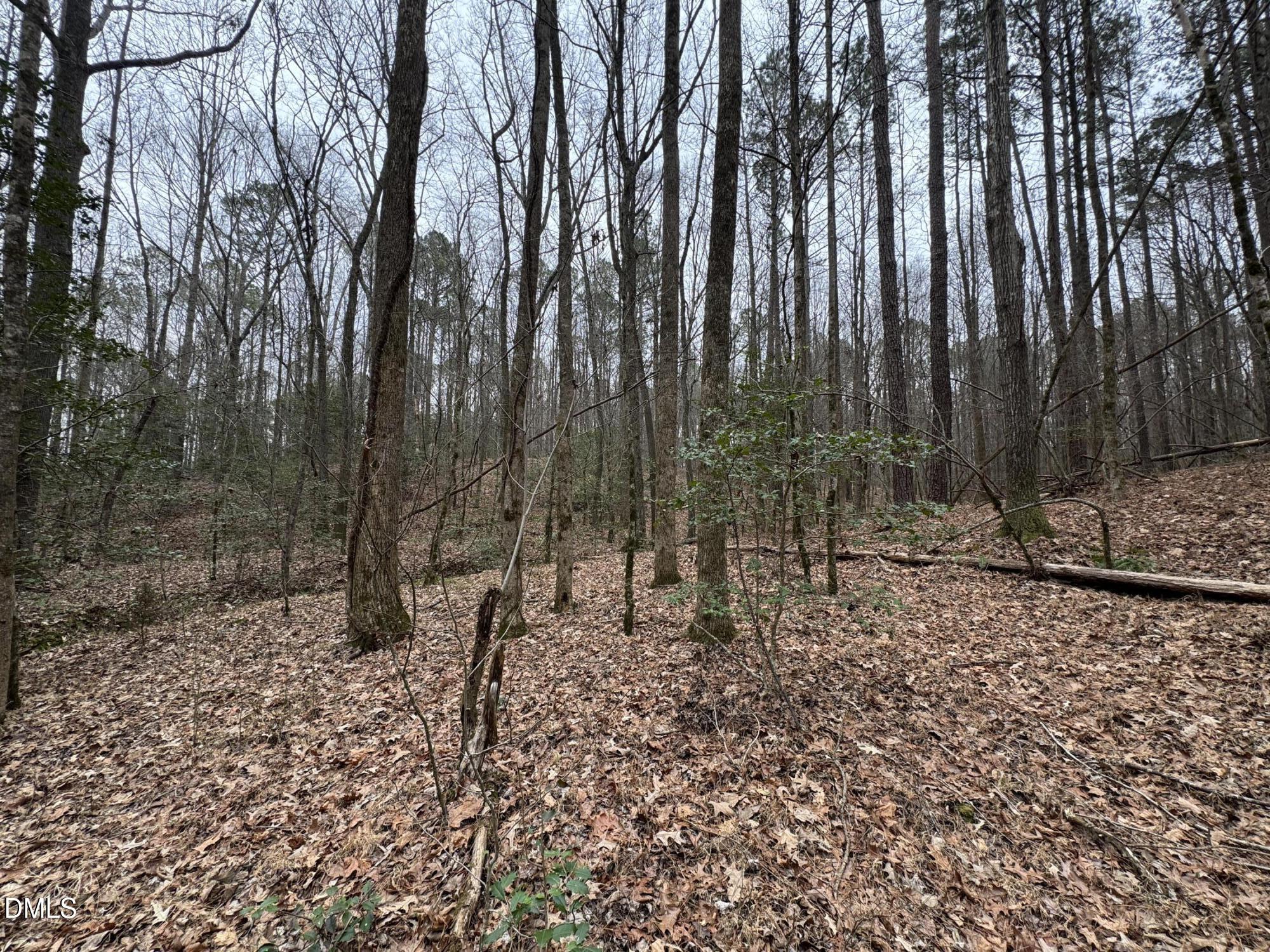 0 Eatmon Road Zebulon, NC 27597 - Photo 60 of 63 a backyard of a house with lots of green space