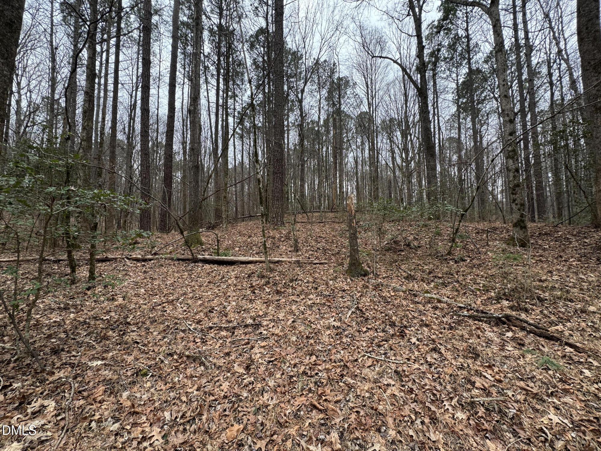 0 Eatmon Road Zebulon, NC 27597 - Photo 61 of 63 a view of a backyard