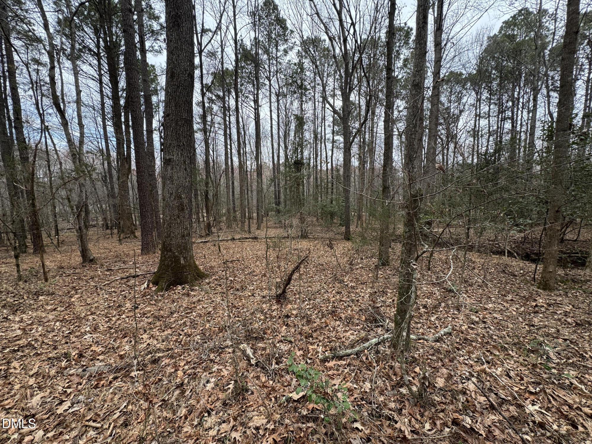 0 Eatmon Road Zebulon, NC 27597 - Photo 63 of 63 a backyard of a house with lots of green space