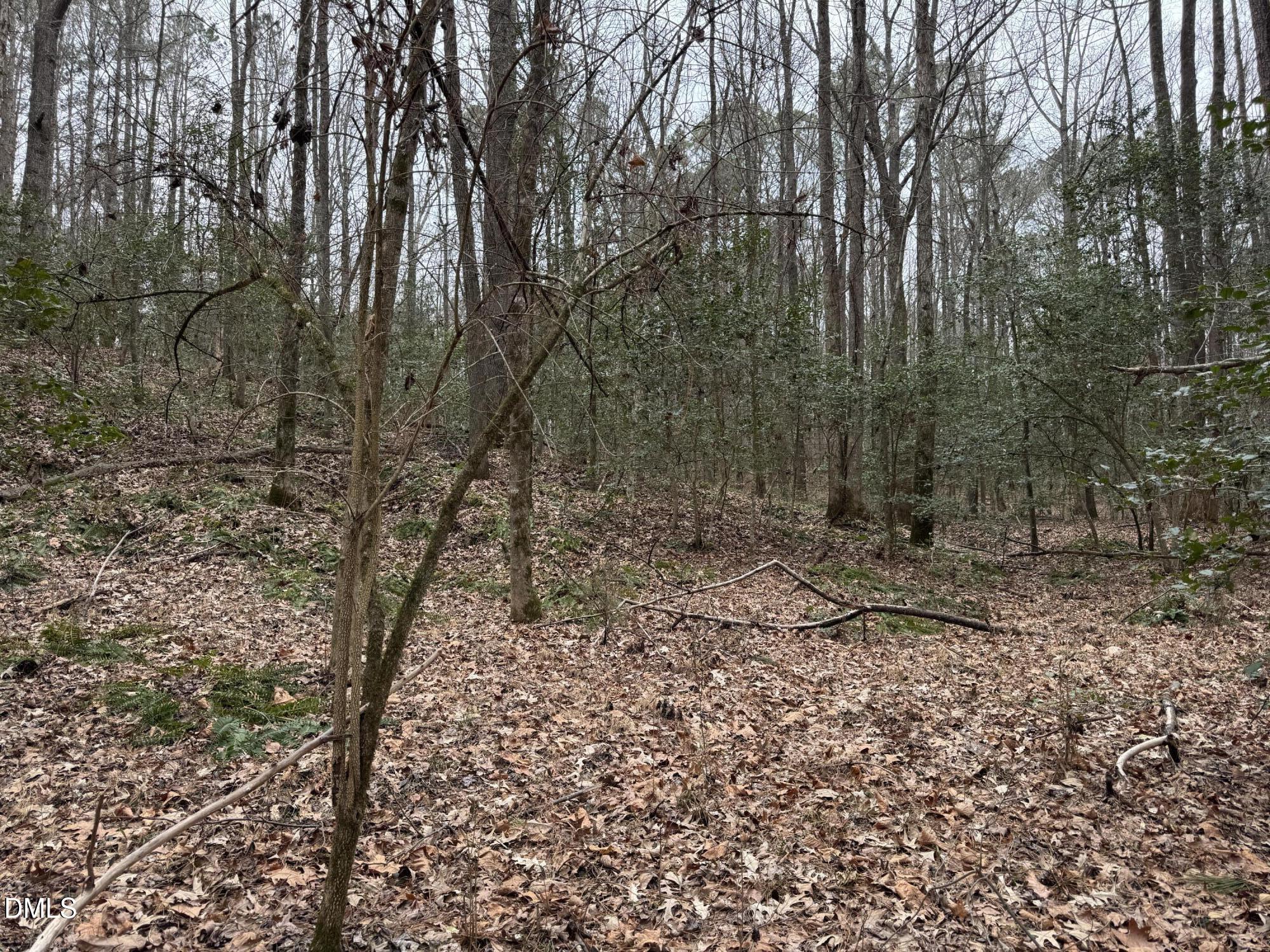 0 Eatmon Road Zebulon, NC 27597 - Photo 7 of 63 a view of a forest with trees