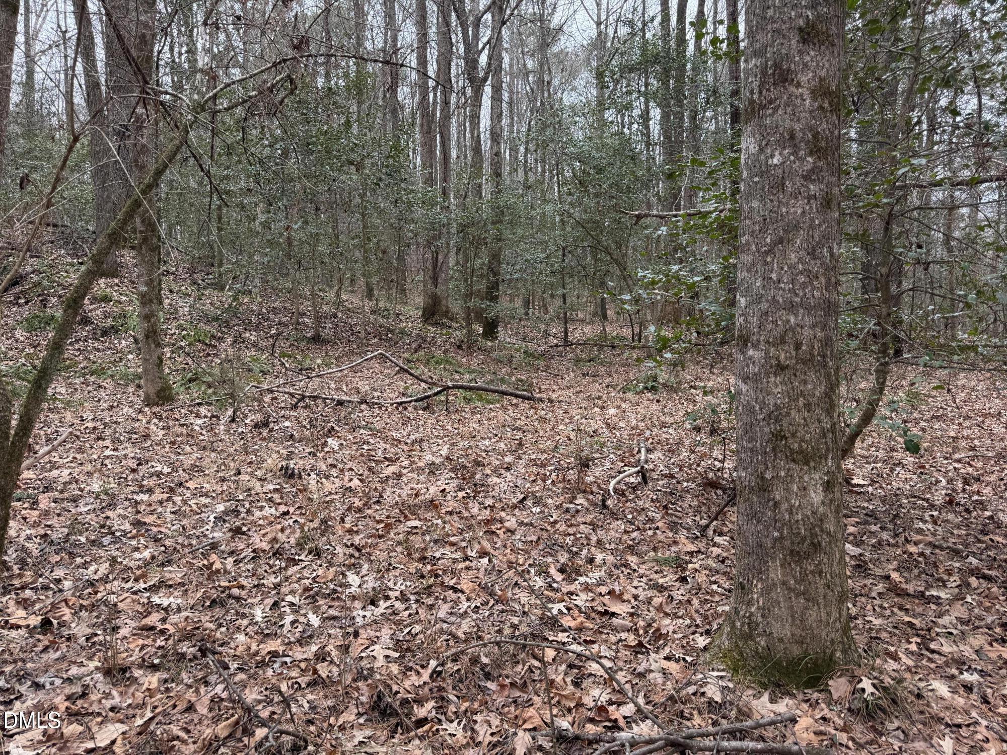 0 Eatmon Road Zebulon, NC 27597 - Photo 8 of 63 a view of a forest with trees in the background