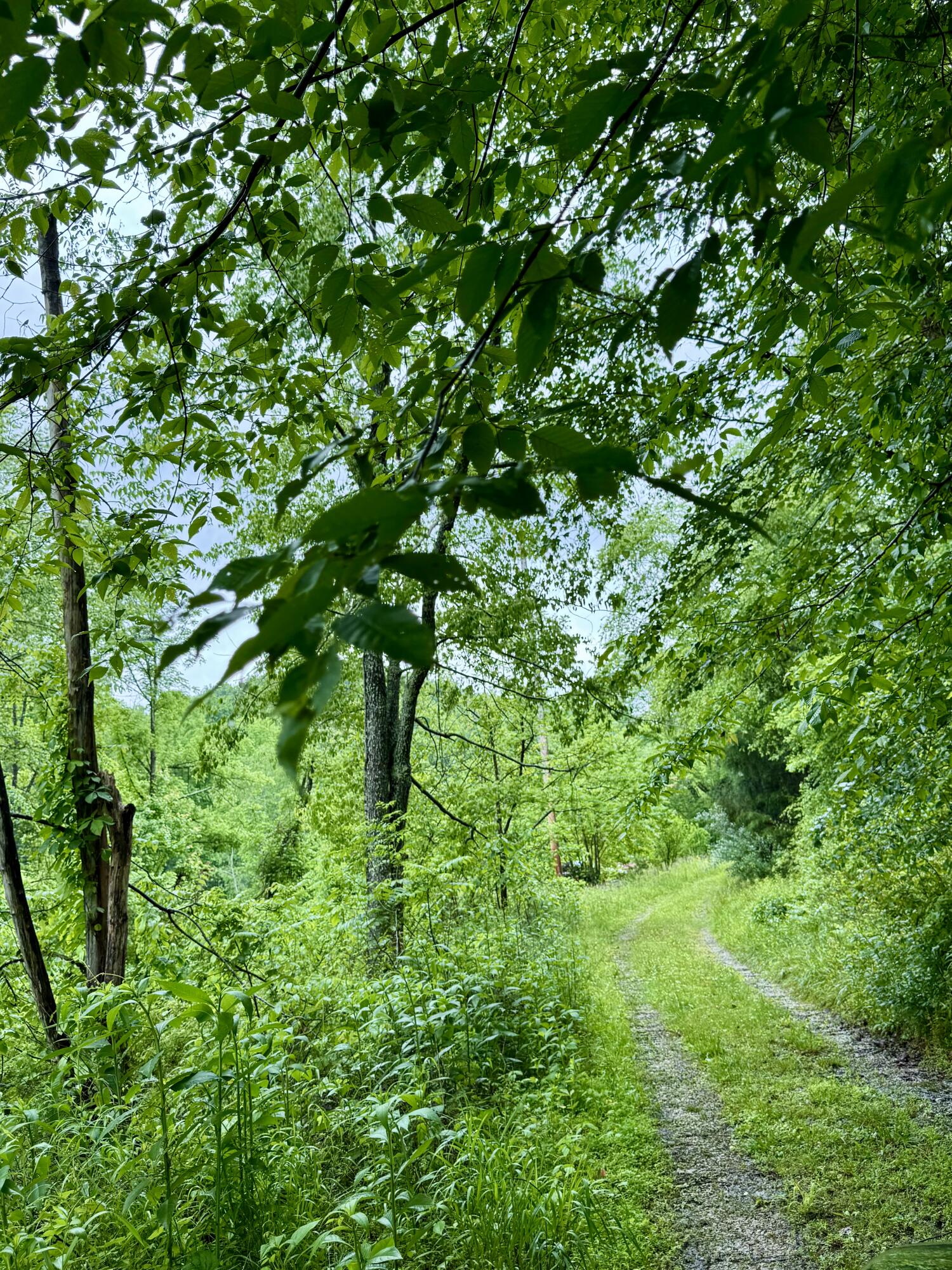 88 Mae Gumm Road Tyner, KY 40486 - Photo 26 of 37 IMG_9232