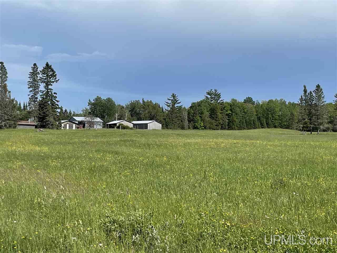 14240 Evergreen Road Rock, MI 49880 - Photo 43 of 49 Gallery Image 43
