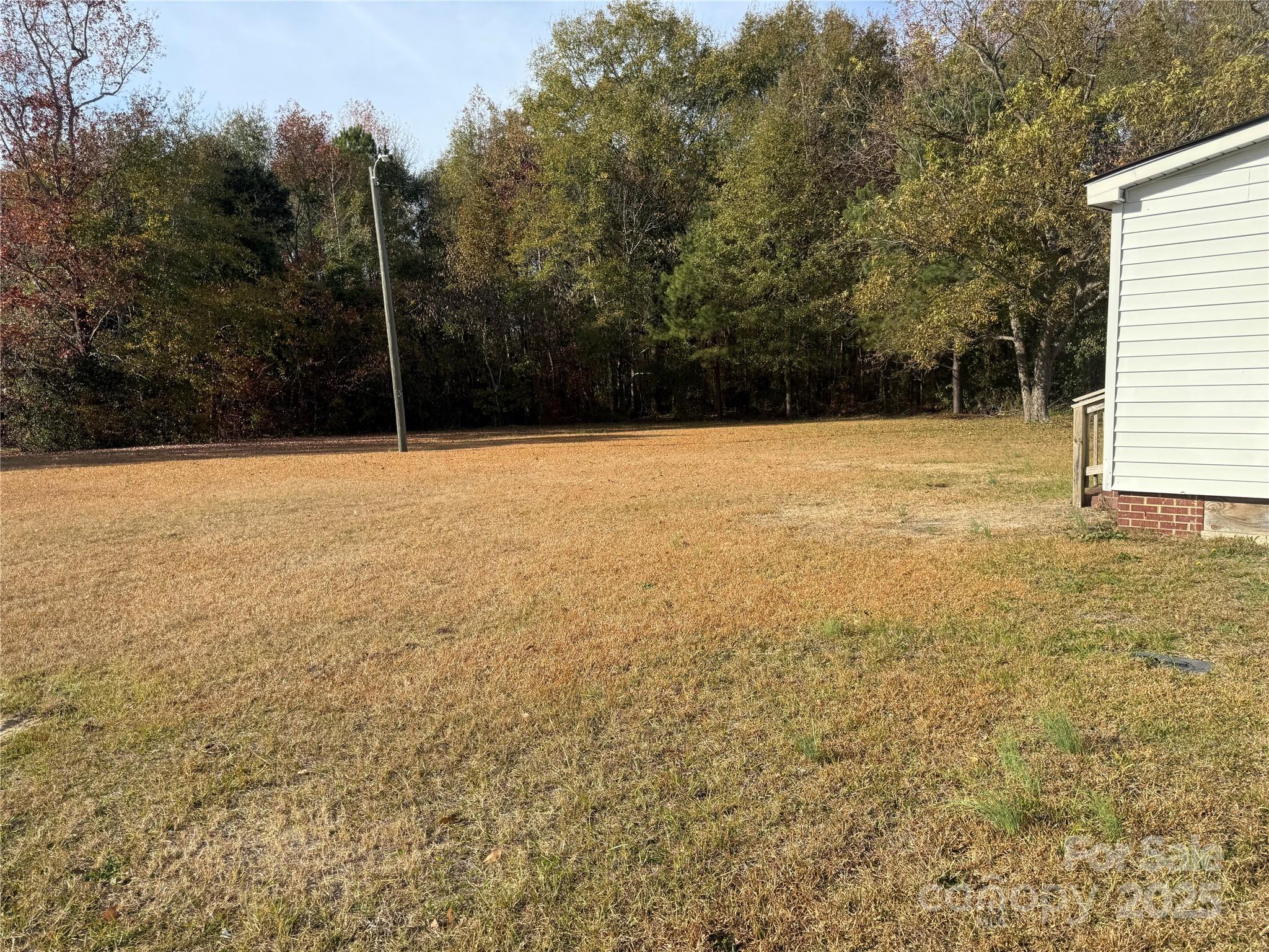 305 Tec Road Cheraw, SC 29520 - Photo 19 of 21 a view of a yard with a tree