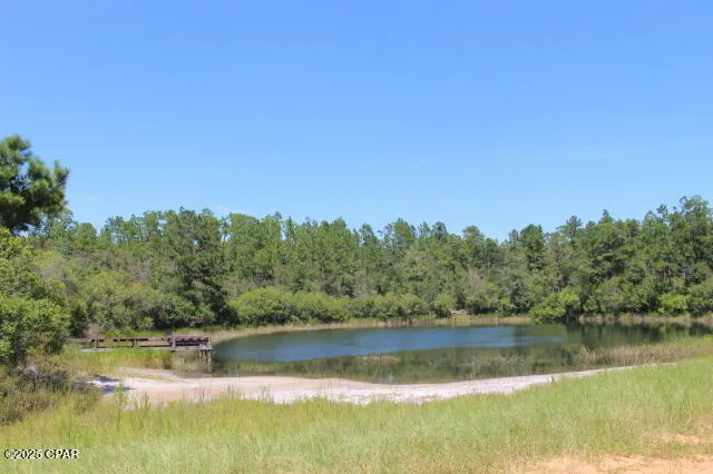 $15,000 | 0 Sycamore Street, Alford, FL 32420